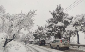 დიდთოვლობამ  დასავლეთ საქართველოს რეგიონებში პრობლემები შექმნა