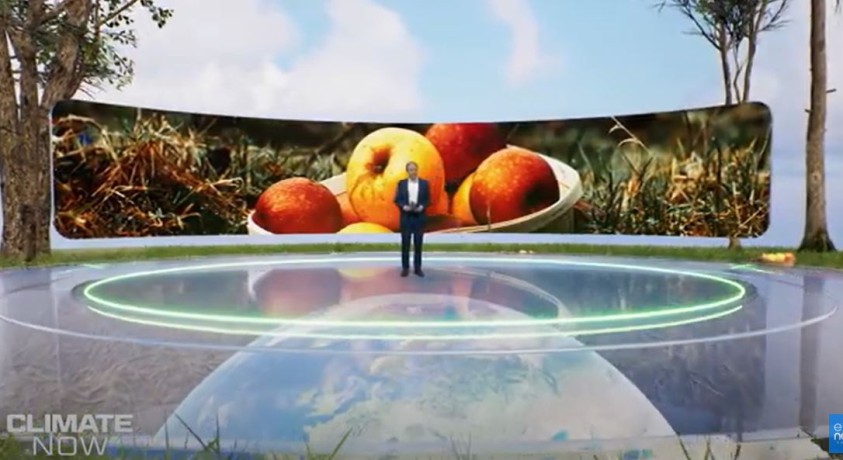 როგორ ეგუებიან ხეხილის ბაღები თბილ ზამთარს