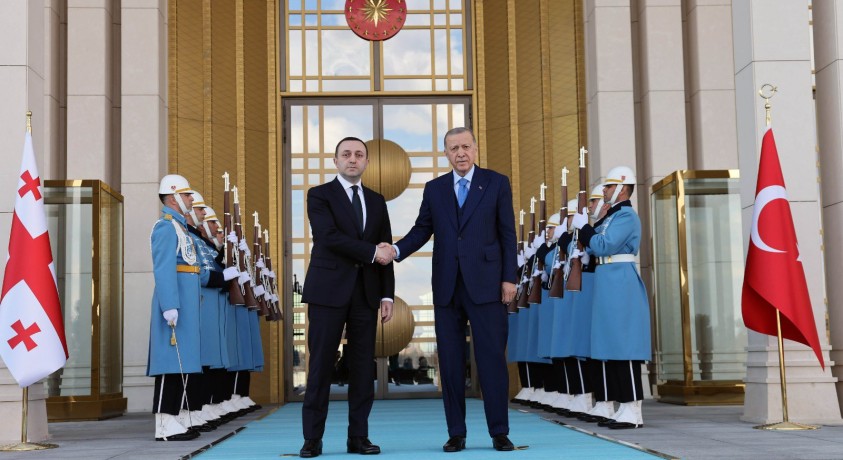 ირაკლი ღარიბაშვილი რეჯეფ თაიფ ერდოღანს შეხვდა