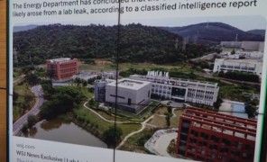 FBI-ის დირექტორი: პანდემიის მიზეზი სავარაუდოდ ჩინურ ლაბორატორიაში მომხდარი ინციდენტია