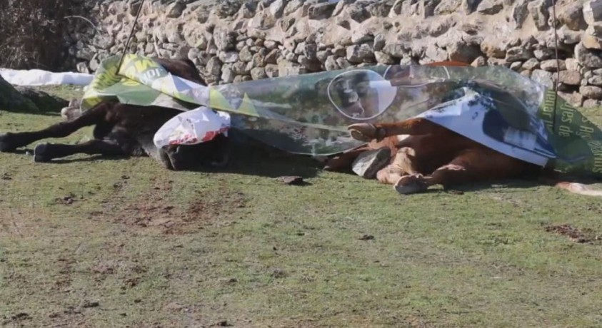 ქარიშხალმა ფილომენამ მადრიდის შემოგარენს 46 მილიონი ევროს ზარალი მიაყენა