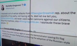 საქართველო არის ევროპა – ევროპარლამენტარების გამოხმაურება