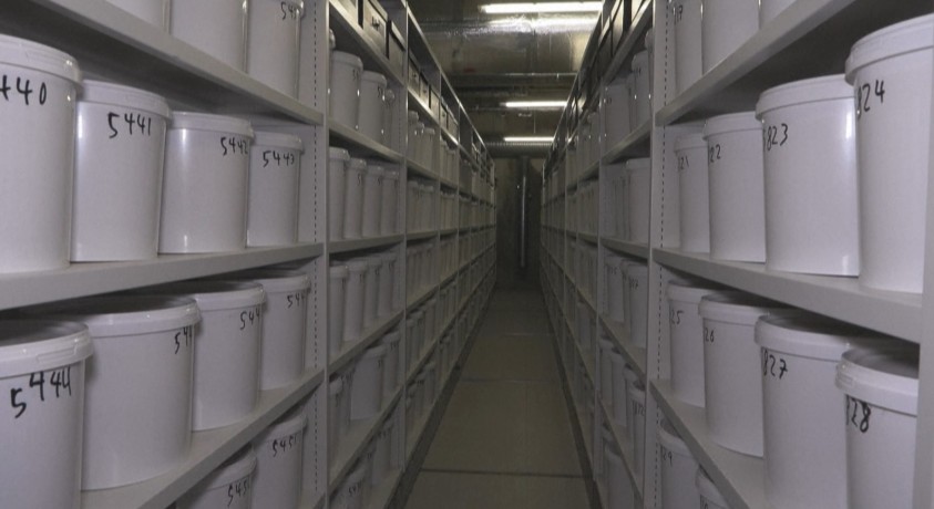 დანიის ერთ-ერთი უნივერსიტეტის სარდაფში 10 000-მდე ადამიანის ტვინი ინახება