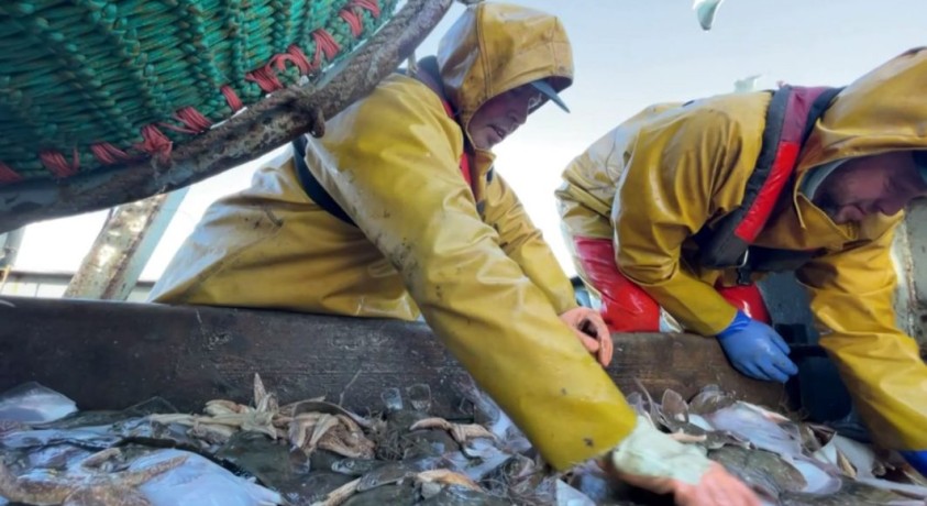 ბრექსიტის გამო მეთევზეებს ფინანსური პრობლემები შეექმნათ