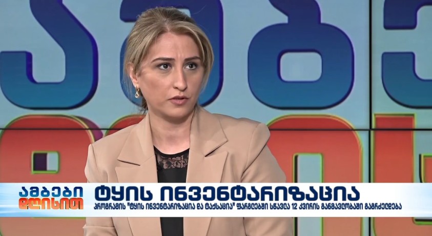 ტყის ინვენტარიზაცია