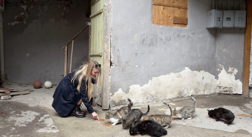 მიუსაფარ კატებზე მზრუნველი გოგო უკრაინიდან