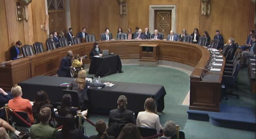 ამერიკელი სენატორის განცხადებას საქართველოში პოლიტიკოსები აფასებენ