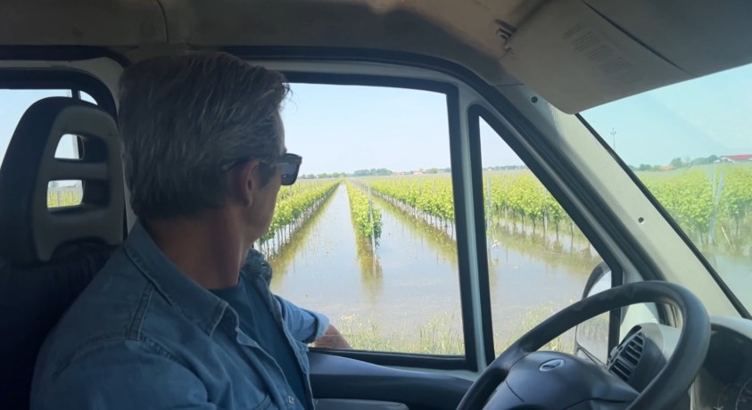 სტიქიამ ემილია-რომანიის რეგიონის ფერმერებს მოსავალი სრულად გაუნადგურა