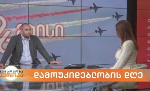 დამოუკიდებლობის დღე – ისტორიკოსი გიორგი არქანია