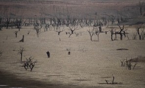ევროპის ქვეყნებში ცხელი ზაფხულისთვის ემზადებიან