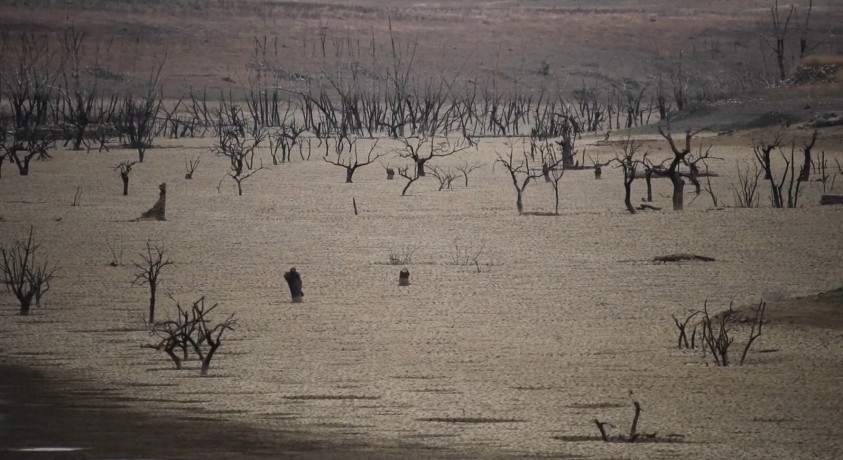 ევროპის ქვეყნებში ცხელი ზაფხულისთვის ემზადებიან