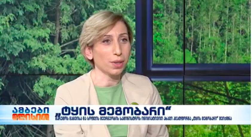 „ტყის მეგობარი” – ეროვნული სატყეო სააგენტოს უფროსის მოადგილე, ნათია იორდანიშვილი