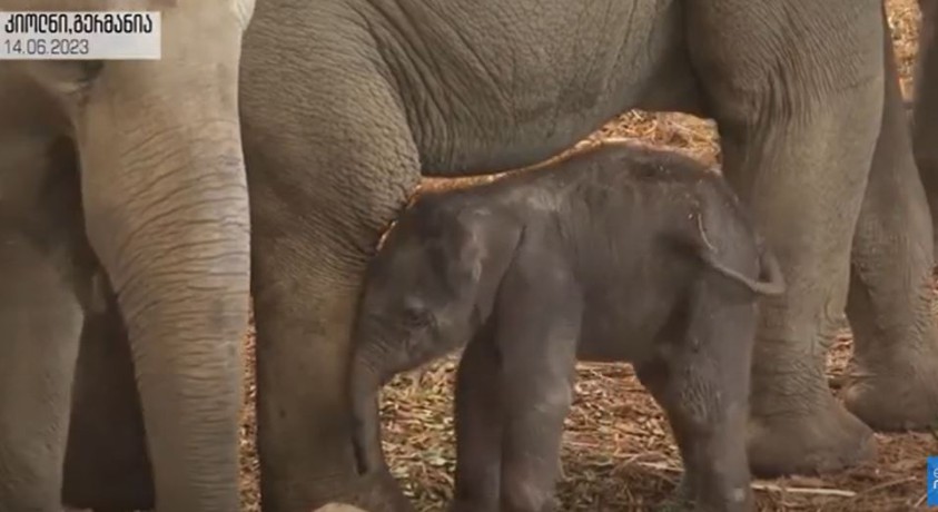 კიოლნი, გერმანია