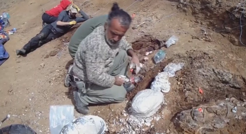 ჩილეში მეცნიერებმა დინოზავრების ახალი სახეობის ნამარხები აღმოაჩინეს