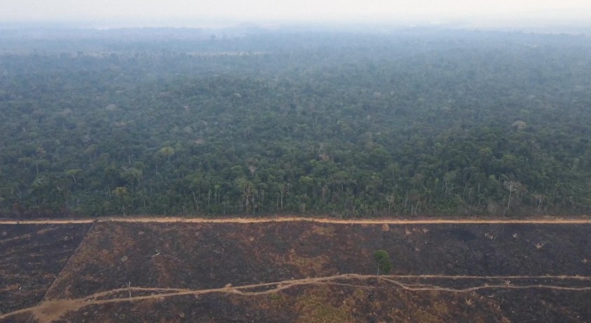 მსოფლიო რესურსების ინსტიტუტი უახლეს ანგარიშს აქვეყნებს