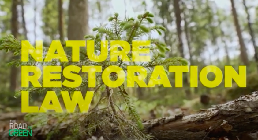 „ნახშირბადის ბომბი“ შვედეთის სატყეო ინდუსტრიაში