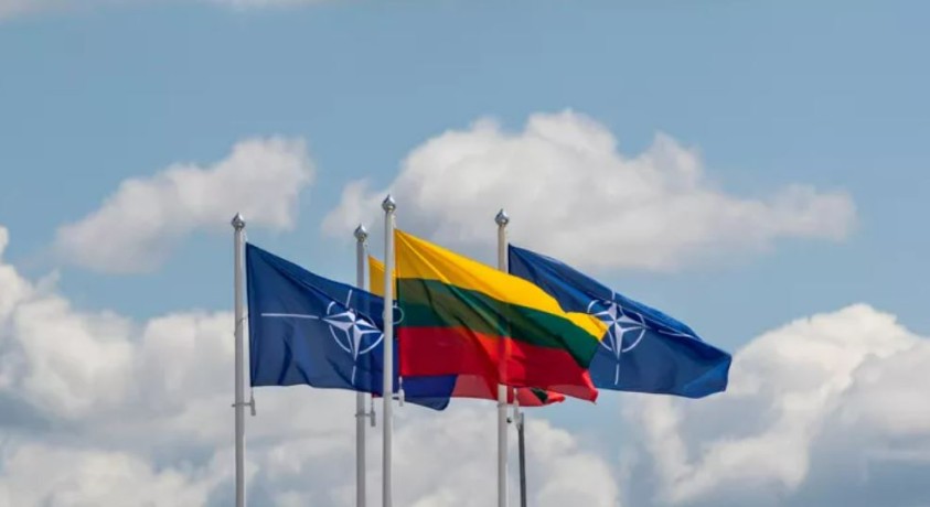 საქართველოს ხელისუფლების ოპონენტები ვილნიუსში ნატოს სამიტზე გაგზავნილი დელეგაციის შემადგენლობას აკრიტიკებენ