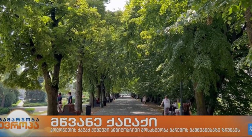 მწვანე ქალაქი პოლონეთში