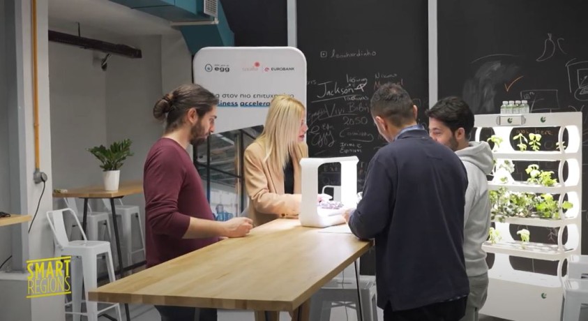 ბერძნული ორგანიზაცია Corallia მცირე ბიზნესს უწყობს ხელს