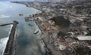 ჰავაიზე ტყის ხანძრის გამო დაღუპულთა რაოდენობა 101-მდე გაიზარდა