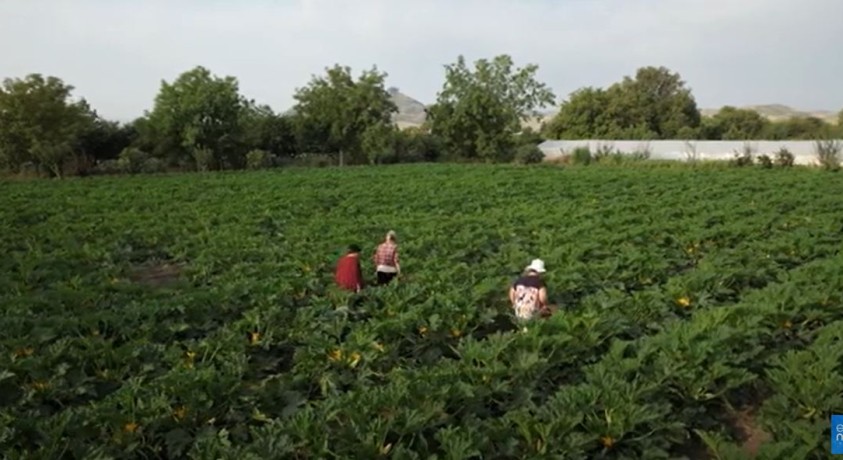 კლიმატი და ქალები