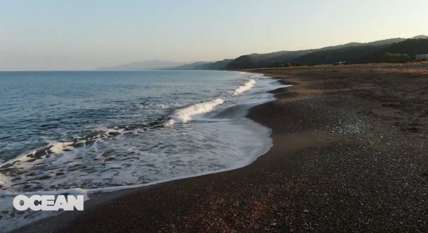 ხმელთაშუა ზღვის საფრთხეში მყოფი ბინადარნი – კუ და დელფინი