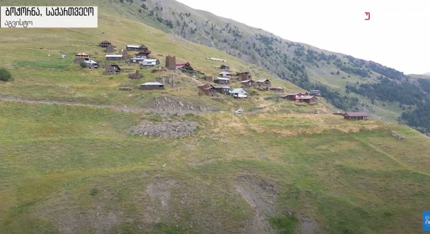 ბოჭორნა, საქართველო