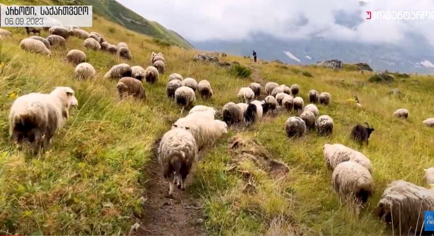 არხოტი, საქართველო