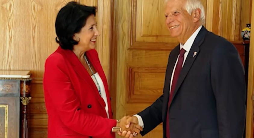 საქართველოს პრეზიდენტი ჯოზეპ ბორელს შეხვდა