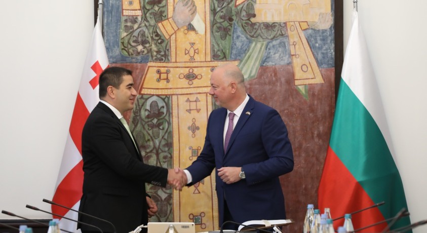 საქართველოს ბულგარეთის რესპუბლიკის ეროვნული ასამბლეის დელეგაცია ეწვია