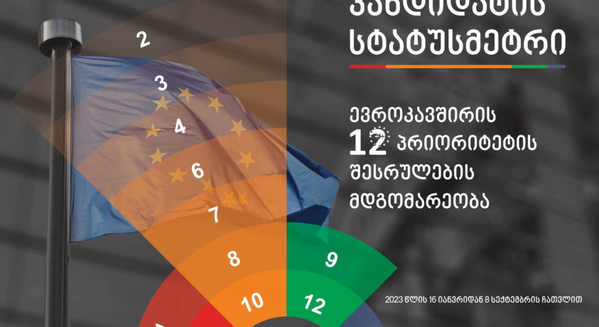 არასამთავრობო ორგანიზაციებმა საქართველოს პროგრესის შეფასების მორიგი დოკუმენტი გამოაქვეყნეს