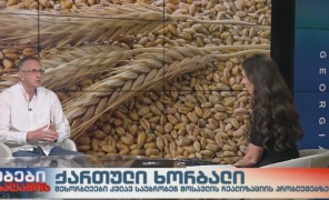 ქართული ხორბლის მოსავლის რეალიზაციის პრობლემები