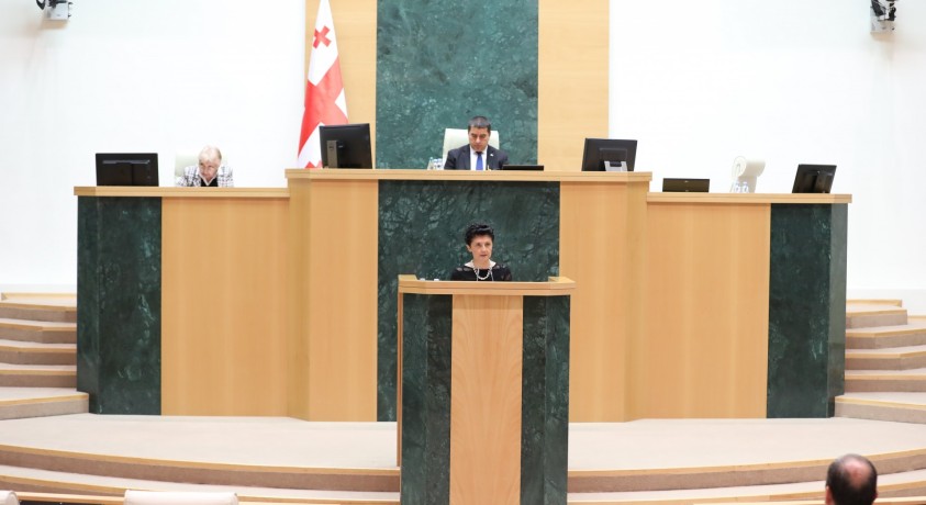 საკანონმდებლო ორგანოში „მინისტრის საათის“ ფორმატში თეა წულუკიანს უსმენდნენ