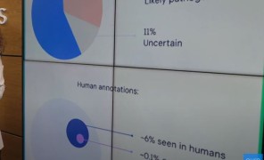 გენეტიკური დაავადების ამომცნობი AI