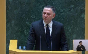 შოვის მოვლენები და შს მინისტრის ინტერპელაცია პარლამენტში