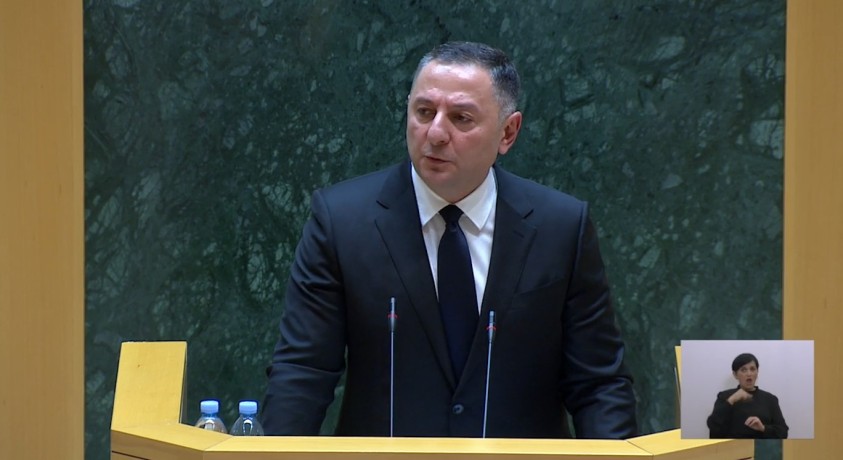 შოვის მოვლენები და შს მინისტრის ინტერპელაცია პარლამენტში