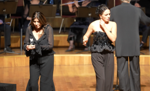 განსხვავებული „აიდა“