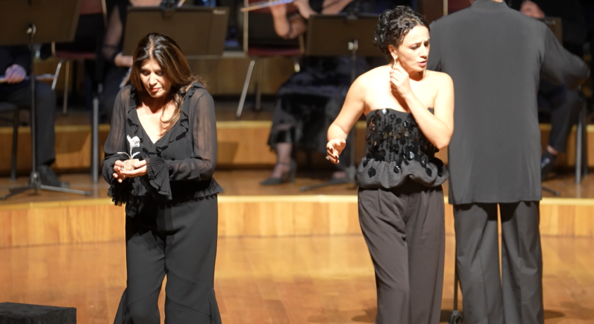 განსხვავებული „აიდა“