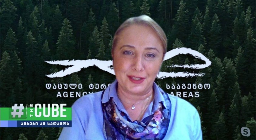 2 თებერვალს მსოფლიო ჭარბტენიანი ტერიტორიების დაცვის საერთაშორისო დღეს აღნიშნავს