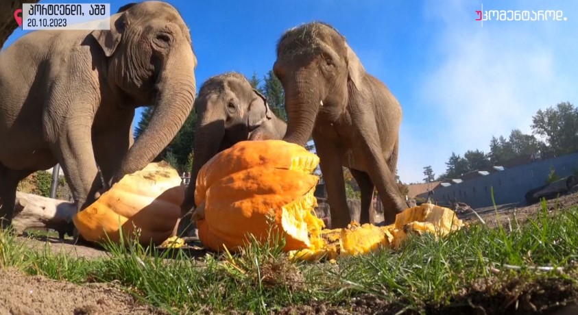 პორტლენდი, აშშ