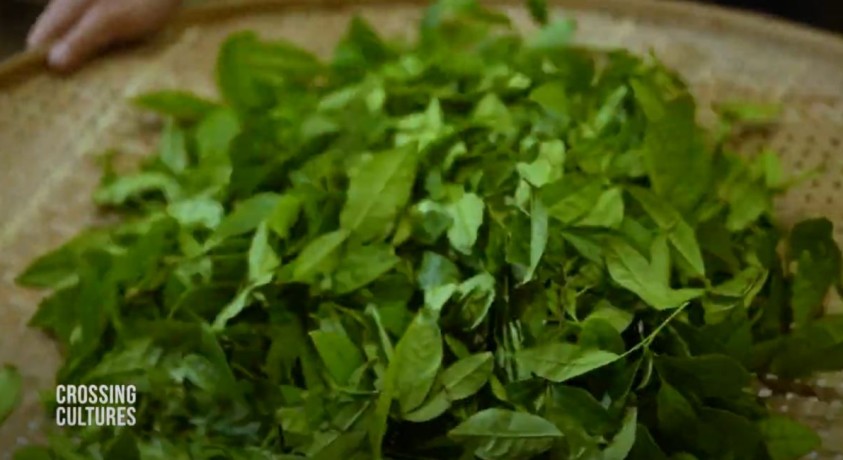 სურნელოვანი ჩაი – ჩინეთის საჩუქარი მსოფლიოს