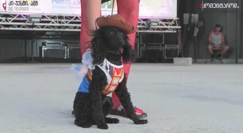 კი-უესტი, აშშ