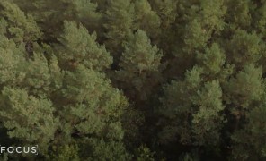 გაფართოებული რეალობა, ხელოვნური ინტელექტი და რობოტები – ასეთია პოლონეთის „სილიკონის ტყე“