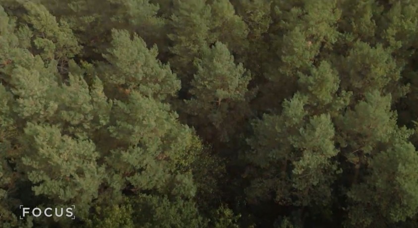 გაფართოებული რეალობა, ხელოვნური ინტელექტი და რობოტები – ასეთია პოლონეთის „სილიკონის ტყე“