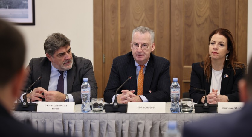 საქართველოს ევროკავშირის დელეგაცია სტუმრობდა ევროკომისიის შეფასებამდე ერთი დღით ადრე