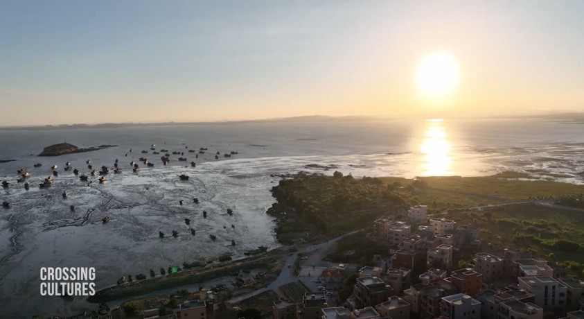 კულტურათა გზაჯვარედინზე – როგორ დაოსტატდნენ ჩინელები და ევროპელები ზღვაოსნობაში