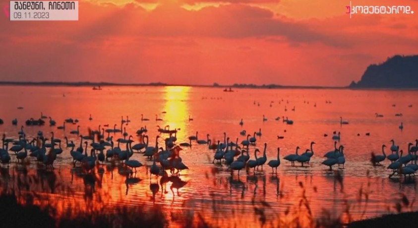 შანდური, ჩინეთი