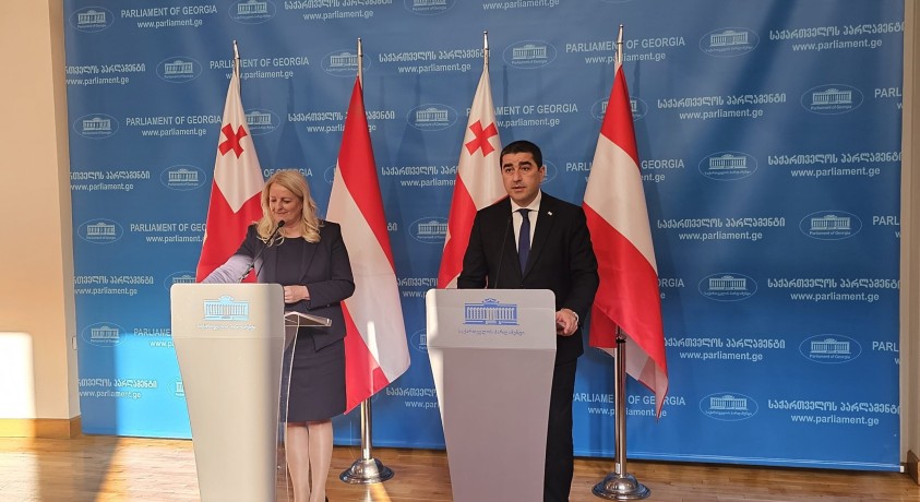 “დეკემბერში ავსტრია საქართველოს მხარს დაუჭერს” – ავსტრიის პარლამენტის ფედერალური საბჭოს პრეზიდენტი