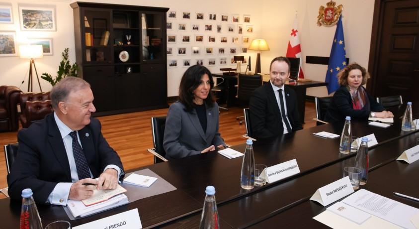 ვენეციის კომისიის დელეგაციამ პარლამენტში შეხვედრები გამართა