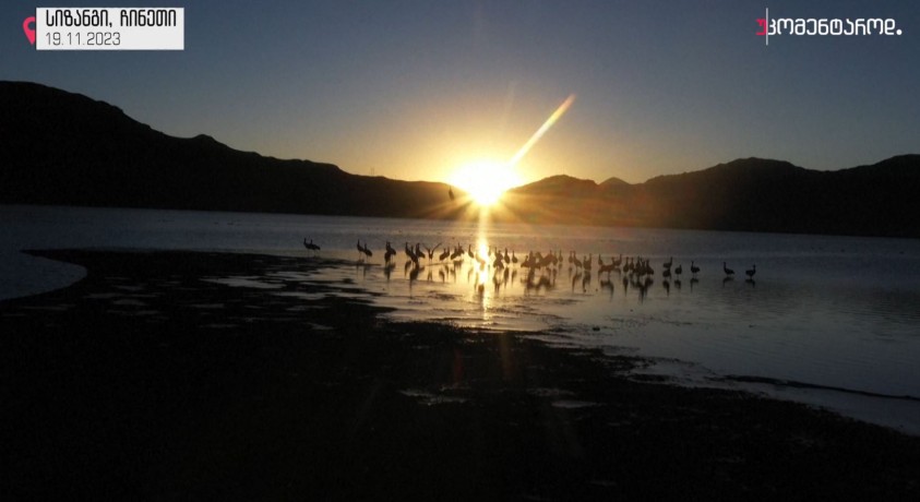 სიზანგი, ჩინეთი